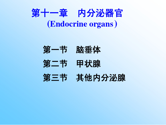 第十一章内分泌系统