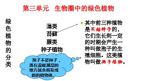 人教版七上生物课件三单元第一章第一节  藻类、苔藓和蕨类植物(36张PPT)