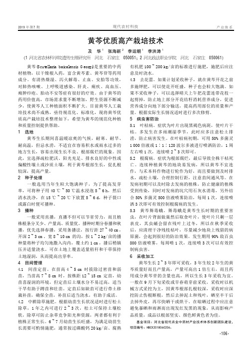 黄芩优质高产栽培技术