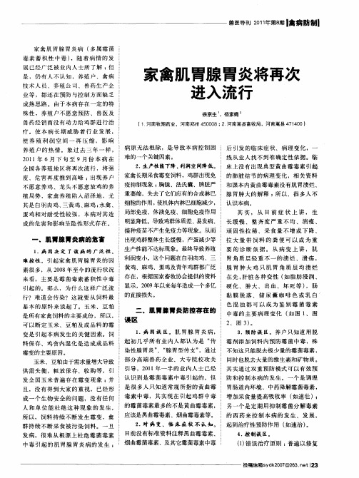 家禽肌胃腺胃炎将再次进入流行