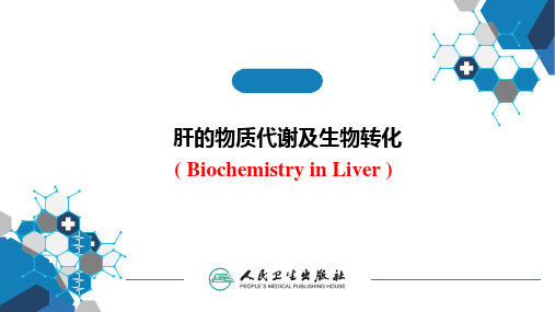 肝的物质代谢及生物转化