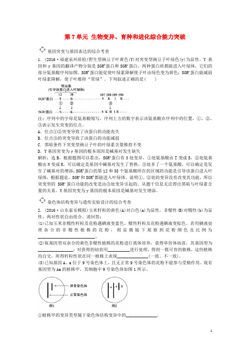 高考生物总复习第7单元生物变异、育种和进化综合能力突破