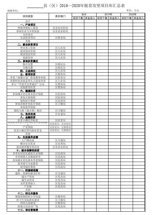 项目库备案表和汇总表 (1)