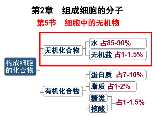 人教版高中生物必修一课件：2.5细胞中的无机物(共19张PPT)