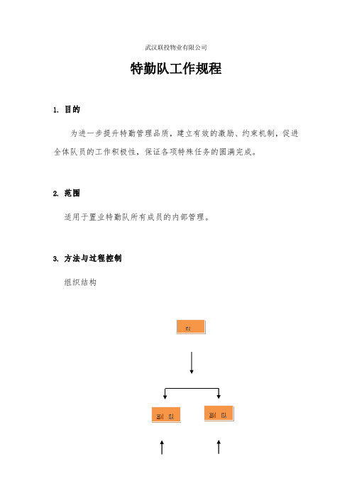 特勤队工作大纲