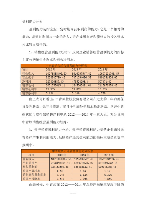 盈利能力和营运能力分析-2