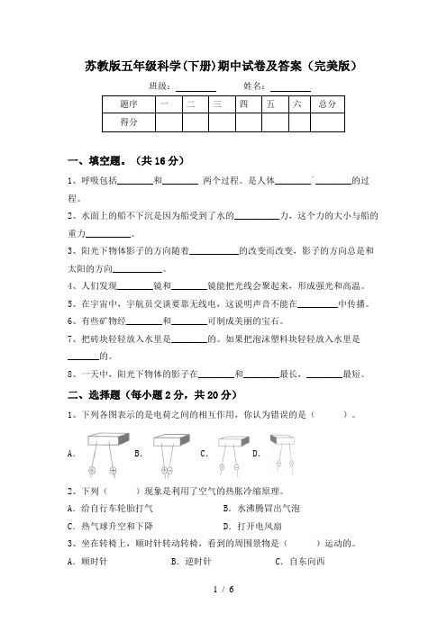 苏教版五年级科学(下册)期中试卷及答案(完美版)