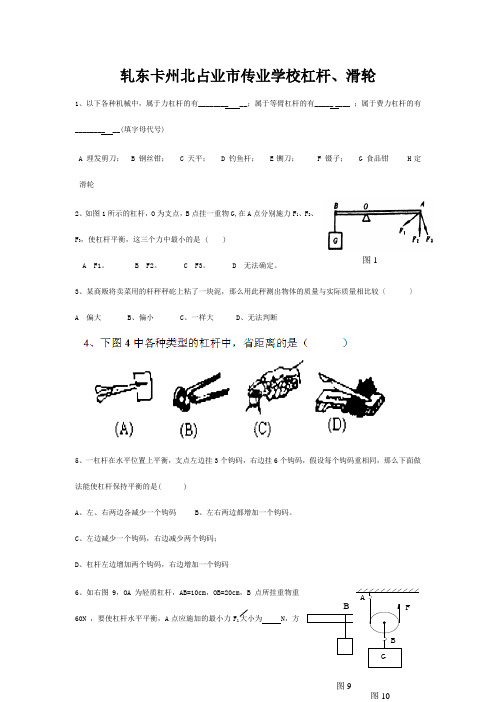 九年级物理上册 杠杆、滑轮练习题 试题