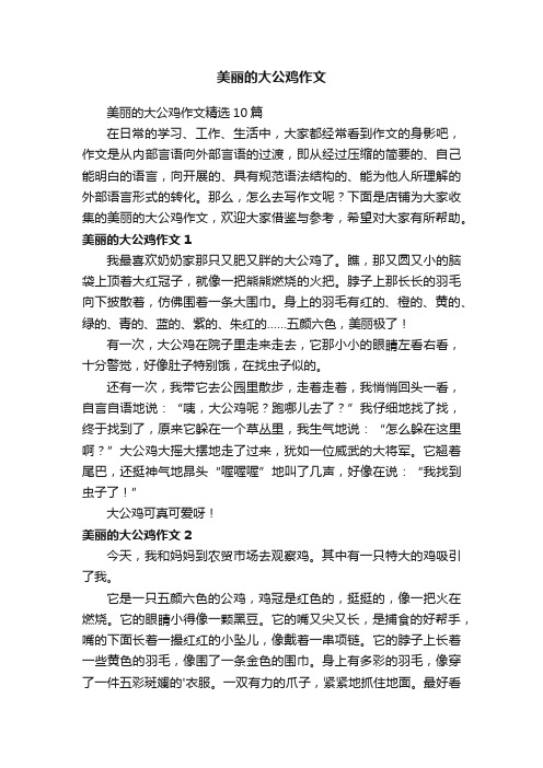 美丽的大公鸡作文