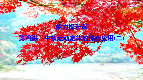 高考物理一轮总复习 第三章 第四讲 牛顿运动定律的综合应用(二)课件