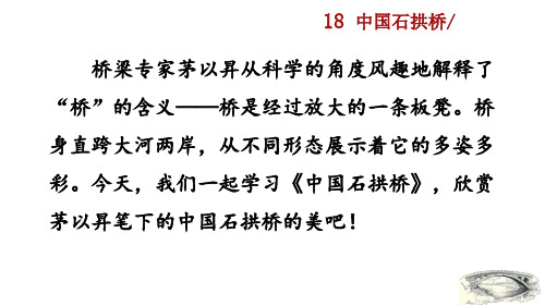 18 中国石拱桥——八年级上册语文课件