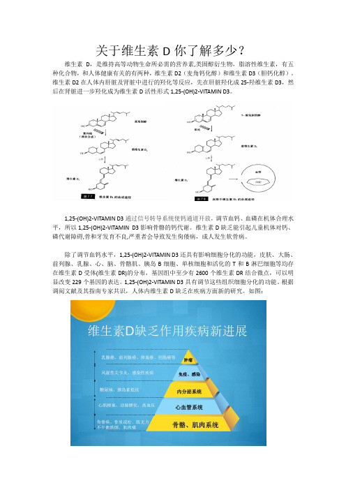 关于维生素D你了解多少