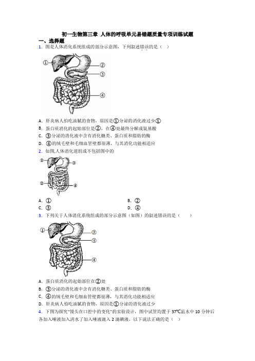 初一生物第三章 人体的呼吸单元易错题质量专项训练试题