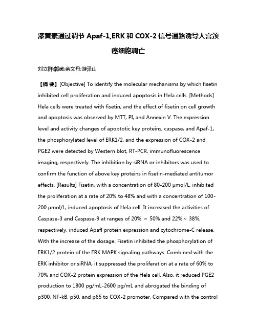 漆黄素通过调节Apaf-1,ERK和COX-2信号通路诱导人宫颈癌细胞凋亡