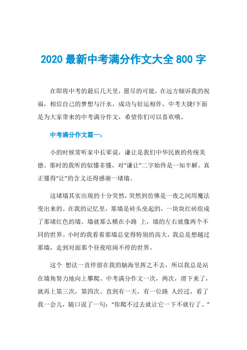 2020最新中考满分作文大全800字