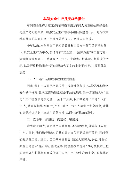 2019年车间安全生产月度总结报告