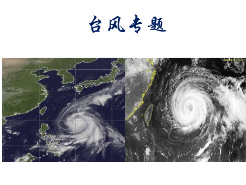 高考地理专题系列台风