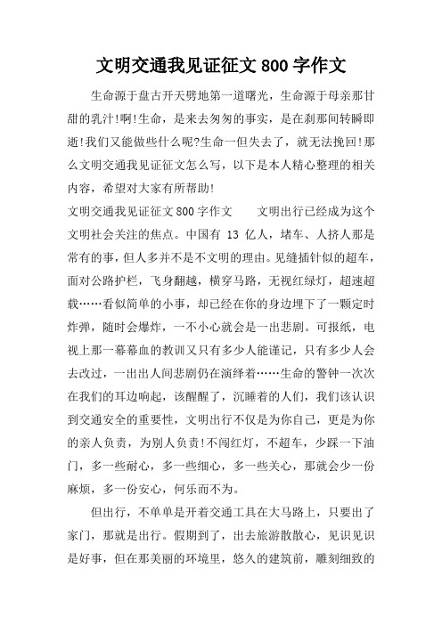 文明交通我见证征文800字作文