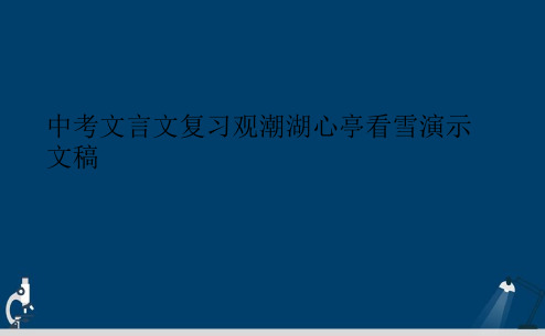 中考文言文复习观潮湖心亭看雪演示文稿