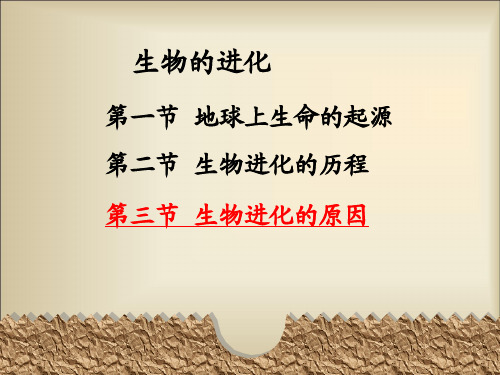 八年级生物下册教学课件:生物进化的原因
