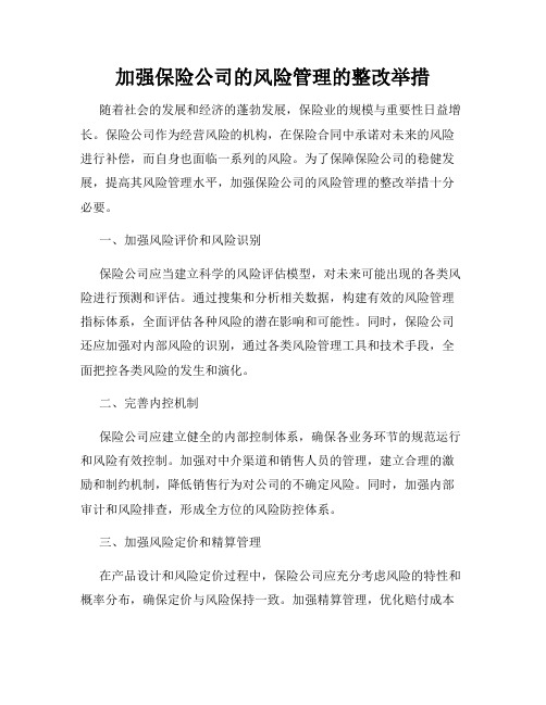 加强保险公司的风险管理的整改举措