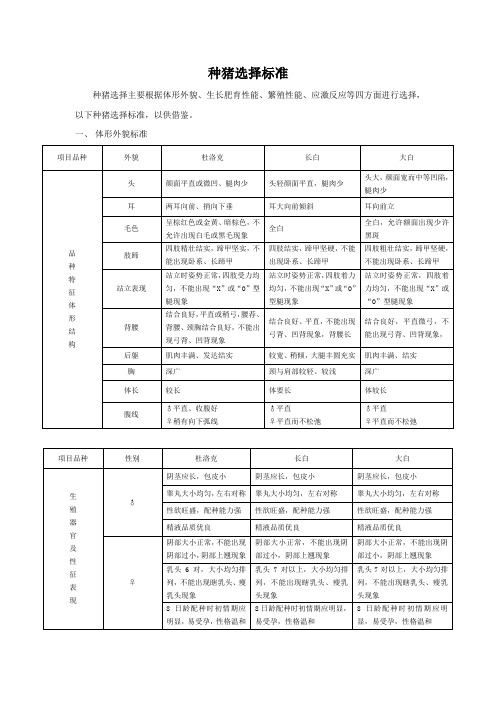 种猪选择标准