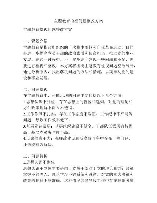 主题教育检视问题整改方案