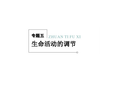 2013新课标高考生物二轮复习专题课件:5-1 植物的激素调节