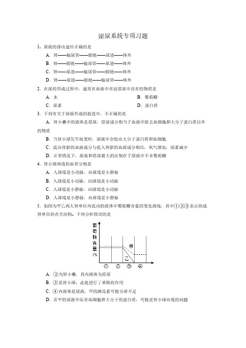 泌尿系统专项习题