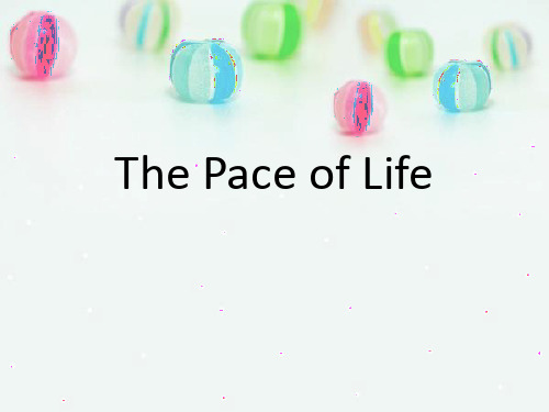 生活的节奏——The Pace of Life