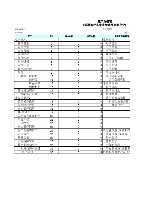 小企业适用会计准则财务报表