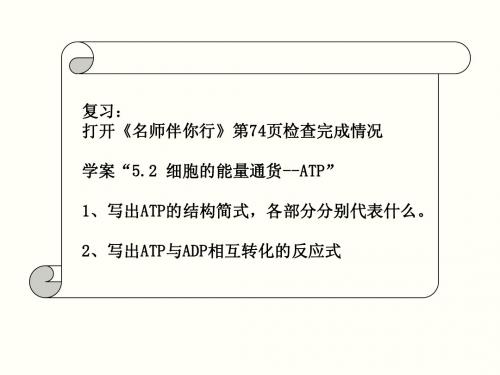 1.5.3 ATP的主要来源--细胞呼吸