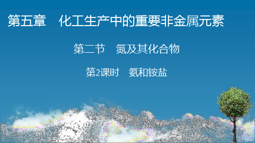 (新教材)2020-2021学年高中化学人教版必修第二册：第5章 第2节 第2课时 氨和铵盐