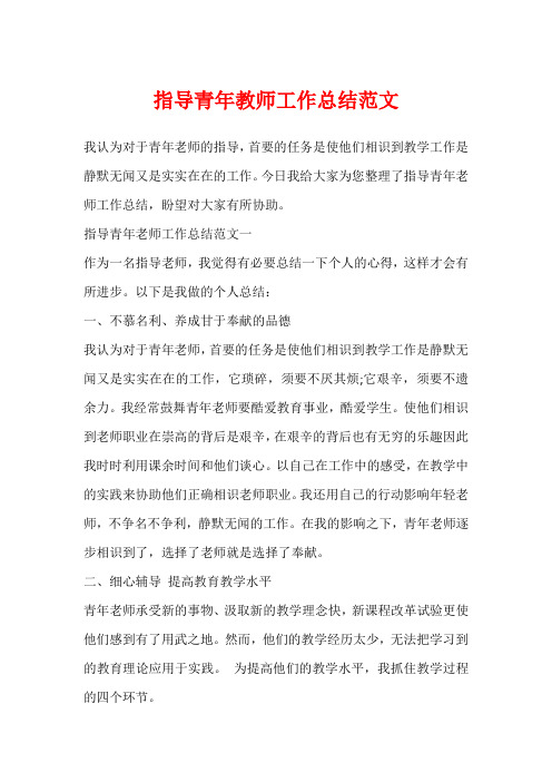 指导青年教师工作总结范文