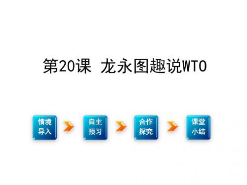 九年级下册第五单元社会科学20.龙永图趣说(语文)