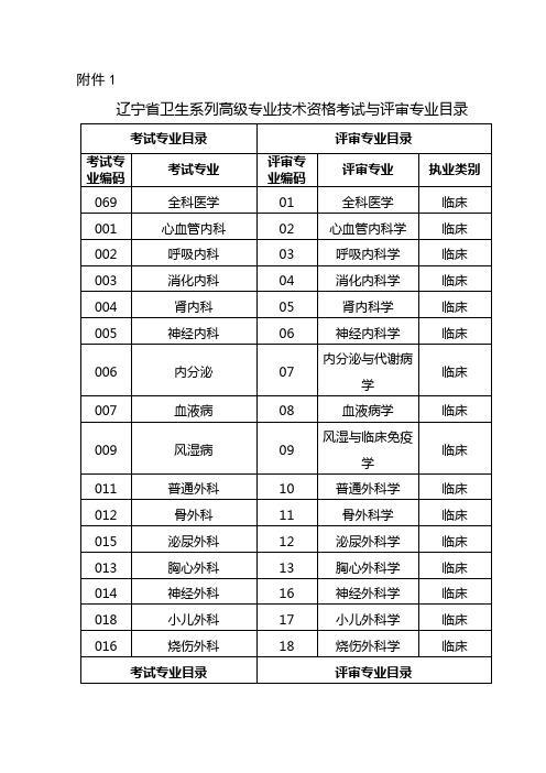 辽宁省卫生系列高级专业技术资格考试与评审专业目录【模板】