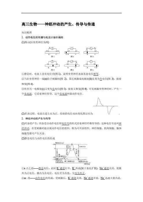 高三生物——神经冲动的产生、传导与传递