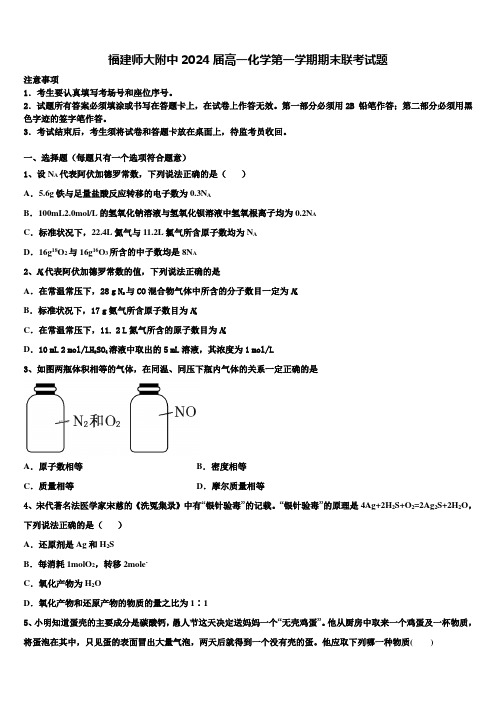 福建师大附中2024届高一化学第一学期期末联考试题含解析