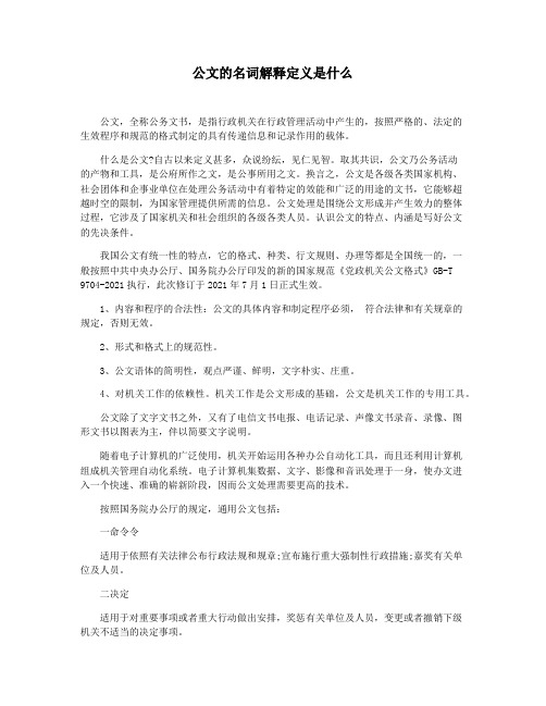 公文的名词解释定义是什么