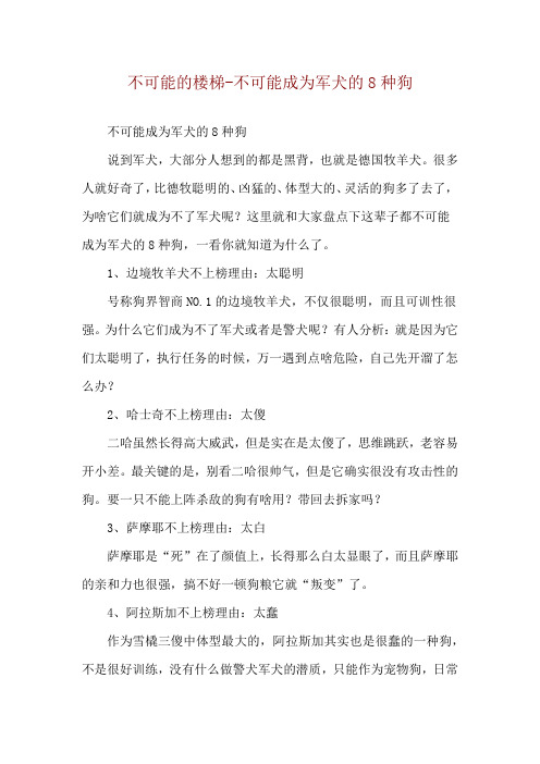 不可能的楼梯-不可能成为军犬的8种狗