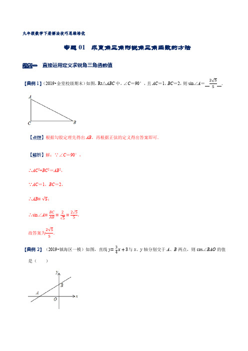 专题01 求直角三角形锐角三角函数的方法(解析版)