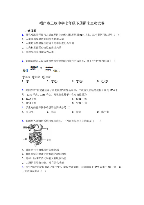 福州市三牧中学七年级下册期末生物试卷