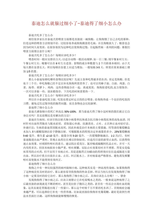 泰迪怎么就躲过细小了-泰迪得了细小怎么办