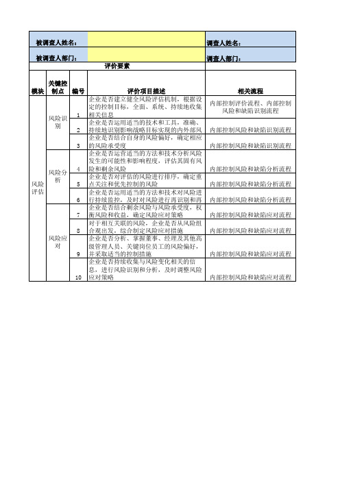 06-内控问卷调查表(内控评价-风险评估)