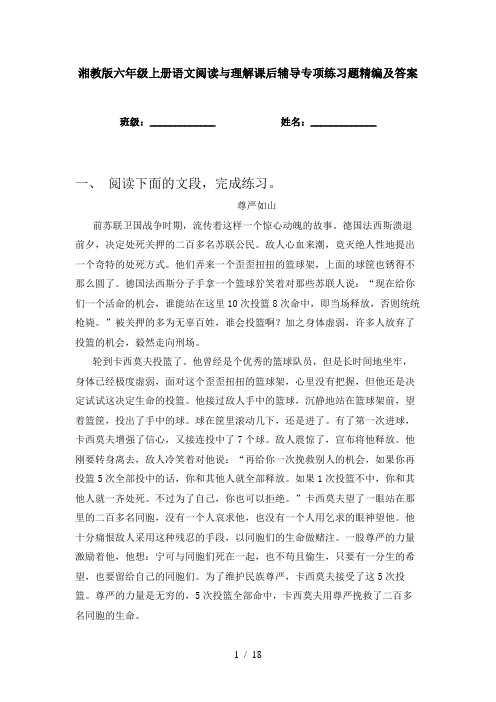 湘教版六年级上册语文阅读与理解课后辅导专项练习题精编及答案