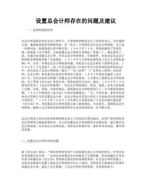 设置总会计师存在的问题及建议