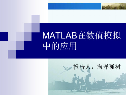 《MATLAB数值模拟》PPT课件