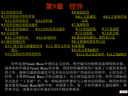 Visual Basic基础知识课件——控件