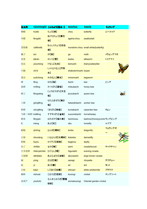 昆虫(中日文对照)