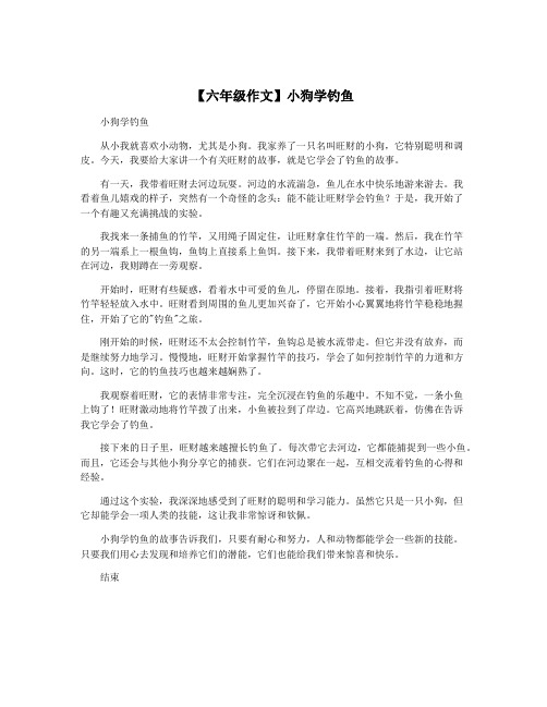 【六年级作文】小狗学钓鱼